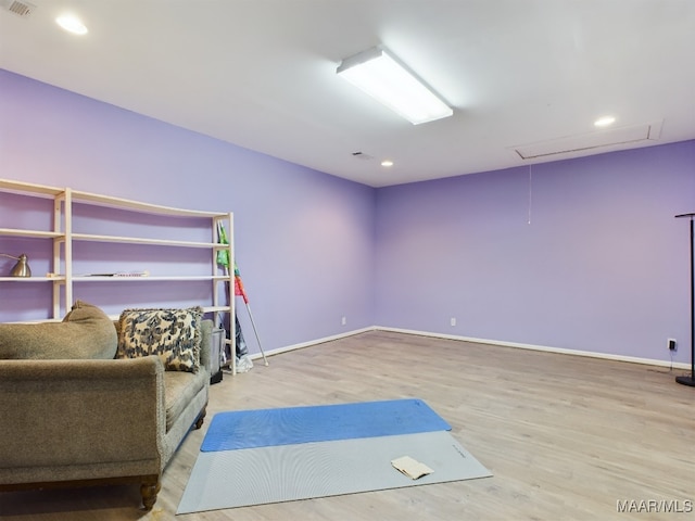 workout room featuring light hardwood / wood-style flooring