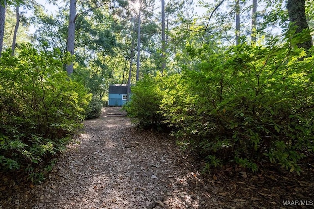 view of road featuring driveway