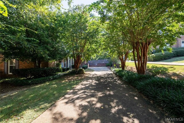 view of front of home featuring a front lawn