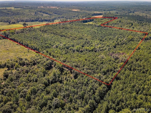 bird's eye view featuring a view of trees