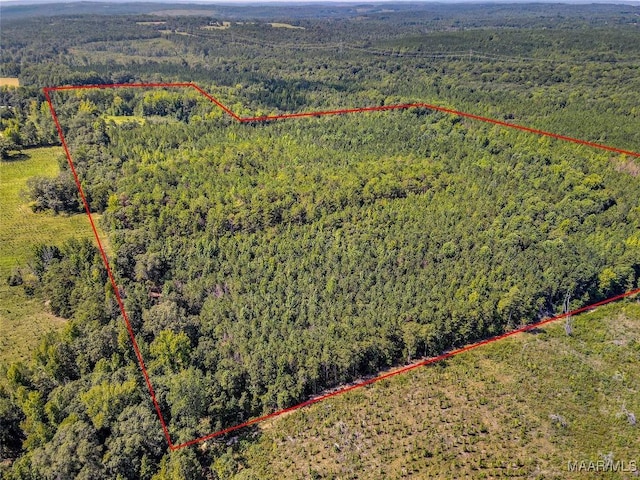 birds eye view of property with a forest view