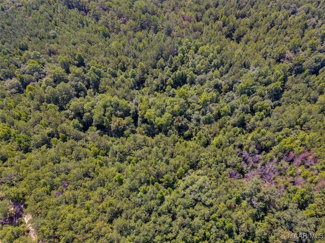 bird's eye view featuring a view of trees