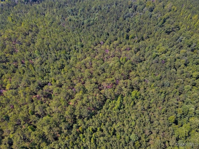 bird's eye view featuring a forest view