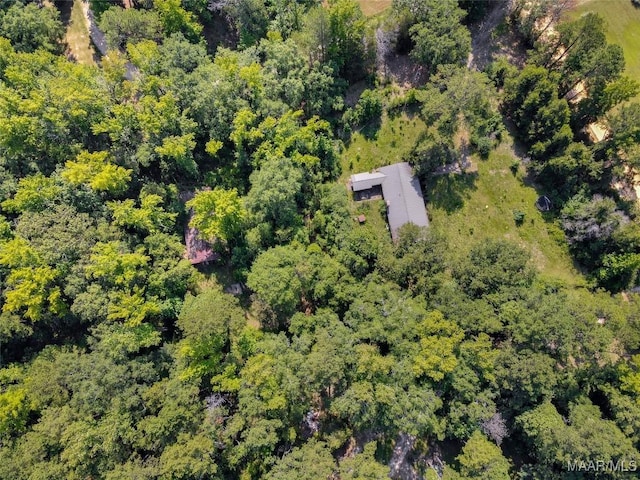 bird's eye view with a forest view