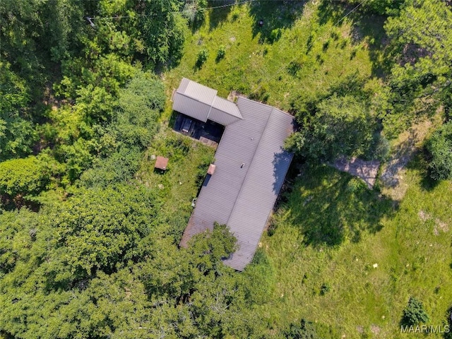 bird's eye view