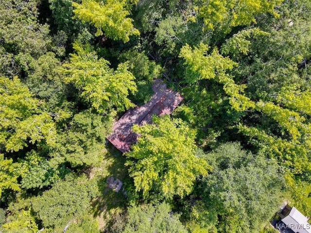 bird's eye view with a wooded view