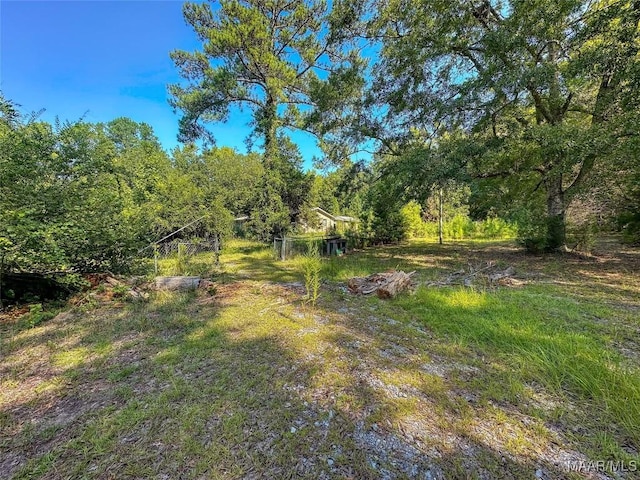 view of yard featuring a wooded view