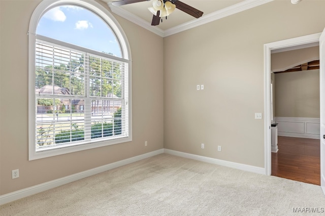 carpeted empty room with ceiling fan and crown molding