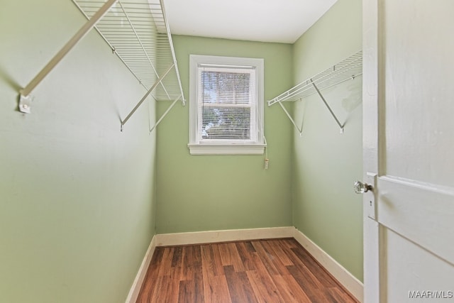 walk in closet featuring dark hardwood / wood-style flooring