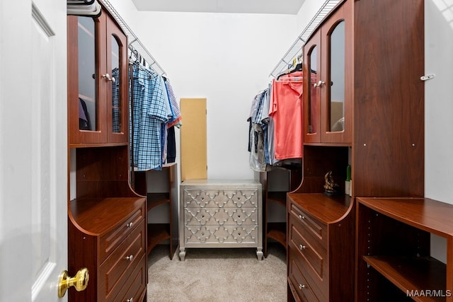 spacious closet with light colored carpet