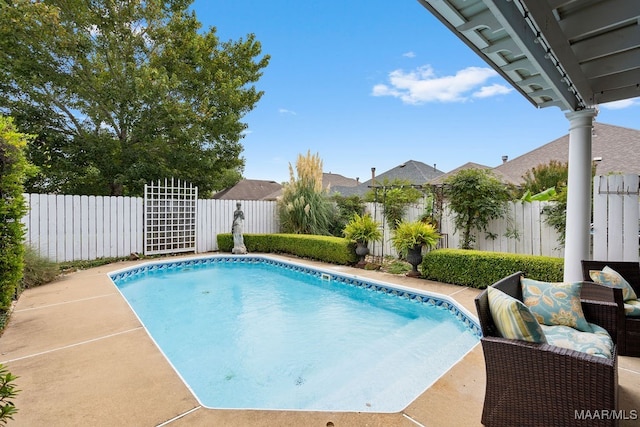 view of swimming pool with a patio area