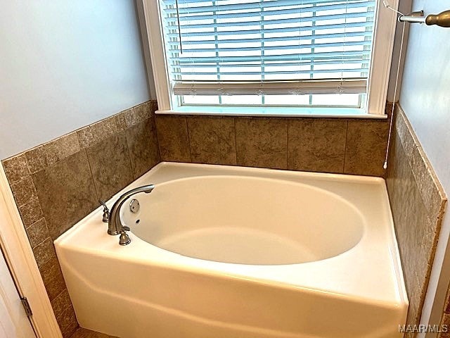 bathroom with a tub and a wealth of natural light