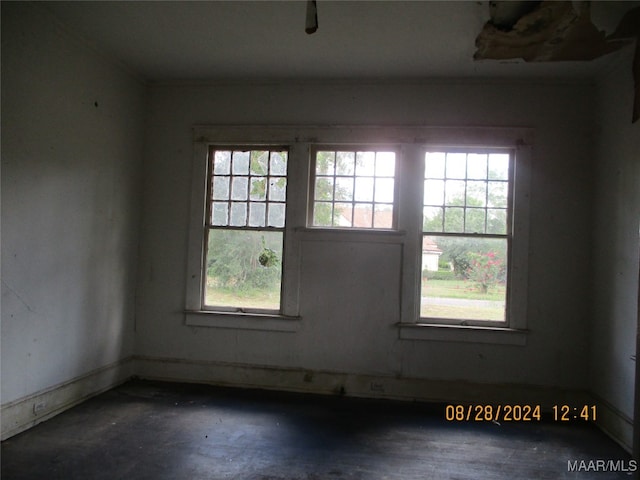 empty room featuring a wealth of natural light