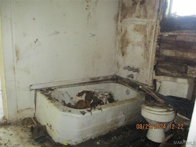 bathroom with toilet and a bathing tub