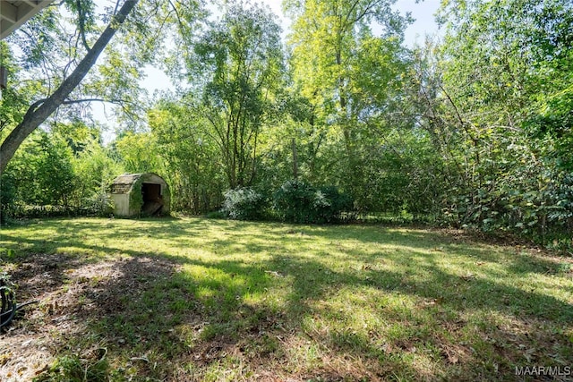 view of yard with a storage unit