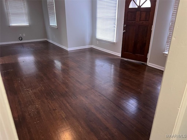 foyer featuring dark wood-type flooring