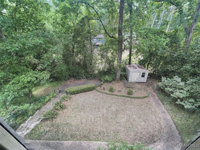 view of yard with a shed