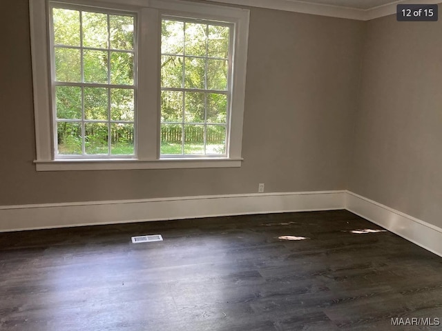 spare room featuring hardwood / wood-style flooring, ornamental molding, and a healthy amount of sunlight