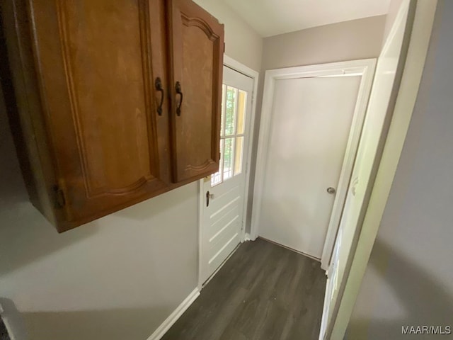 doorway to outside with dark wood-type flooring