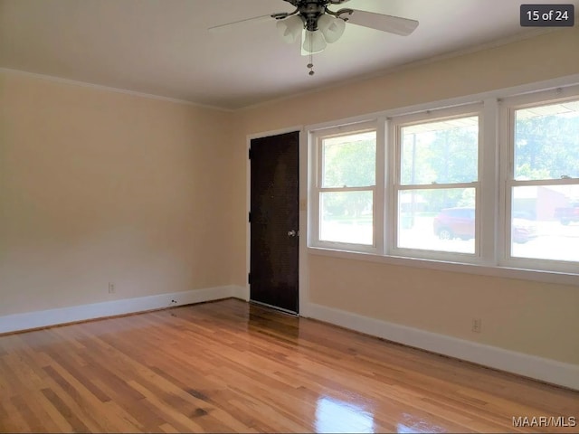 unfurnished room with ceiling fan, light wood-type flooring, and crown molding