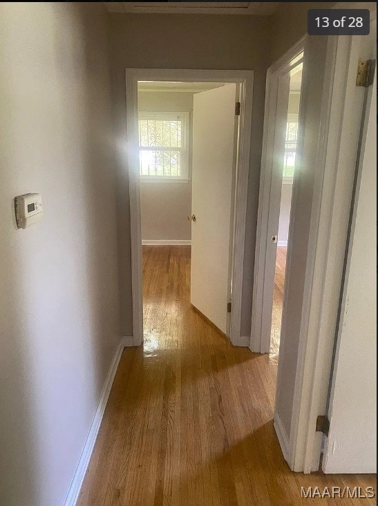 corridor featuring hardwood / wood-style flooring