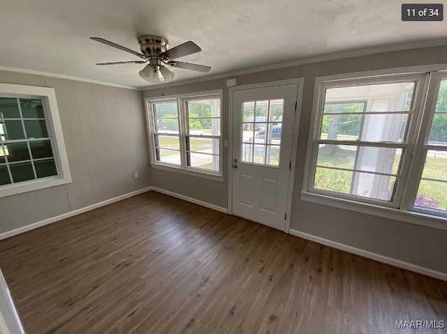 doorway to outside featuring a healthy amount of sunlight, ornamental molding, dark hardwood / wood-style floors, and ceiling fan