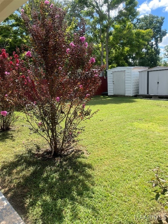 view of yard featuring a storage unit