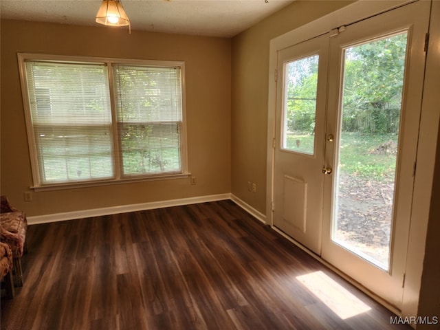 entryway featuring plenty of natural light and dark hardwood / wood-style flooring