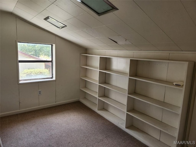 additional living space with carpet and vaulted ceiling