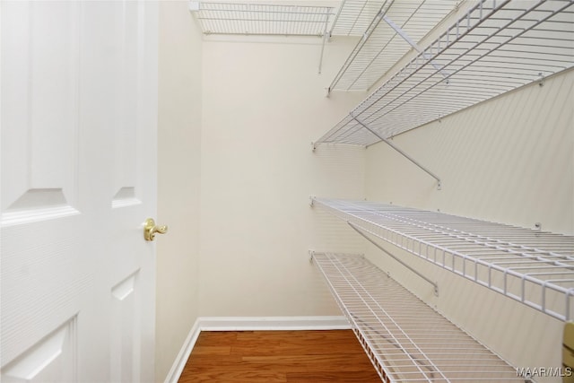 walk in closet with wood-type flooring