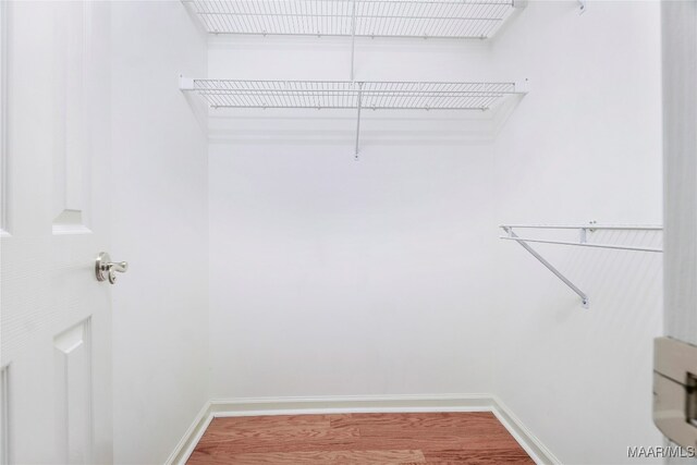 walk in closet featuring hardwood / wood-style flooring