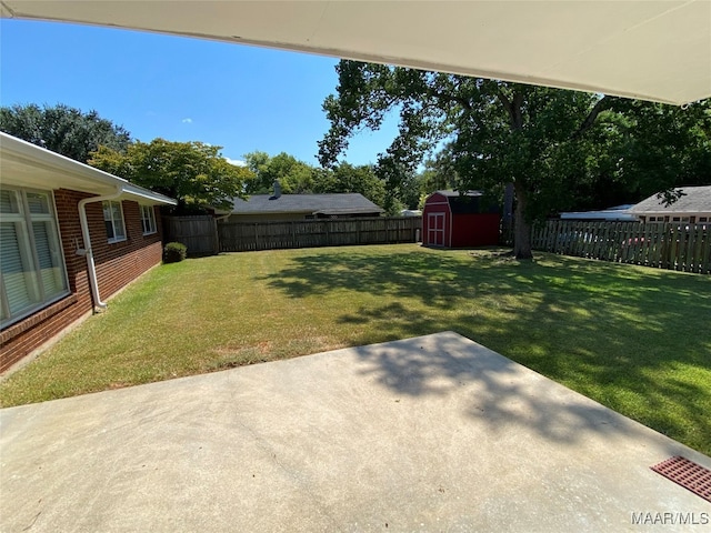 view of yard featuring a patio area and a shed