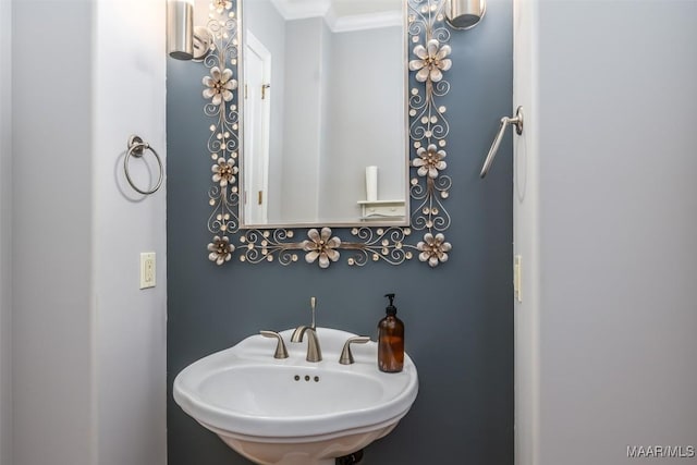 bathroom with crown molding and sink