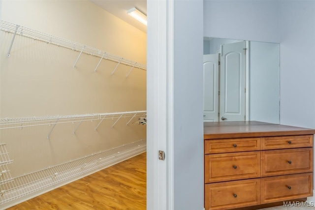 bathroom with hardwood / wood-style floors