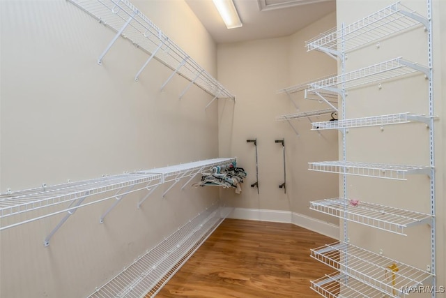 walk in closet with hardwood / wood-style flooring