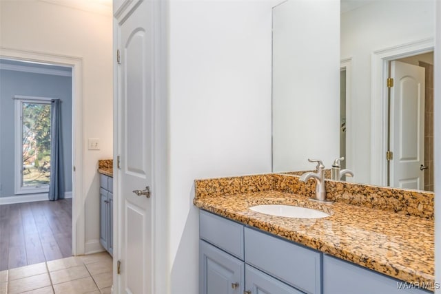 bathroom with hardwood / wood-style floors and vanity