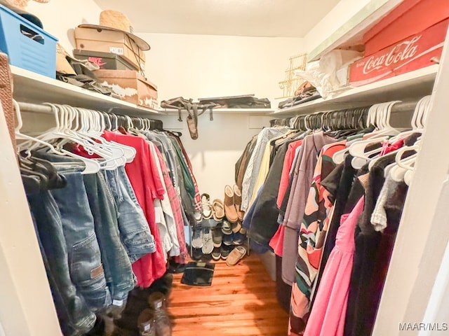 walk in closet with wood-type flooring