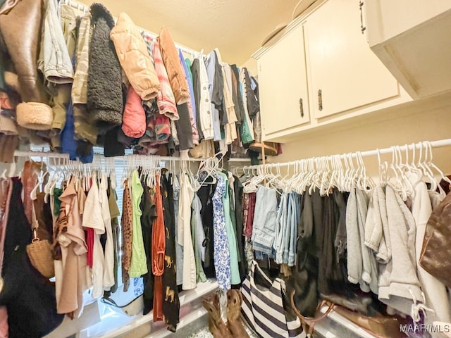 view of spacious closet