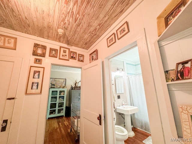 bathroom with wood ceiling, toilet, and wood-type flooring