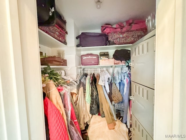 view of closet