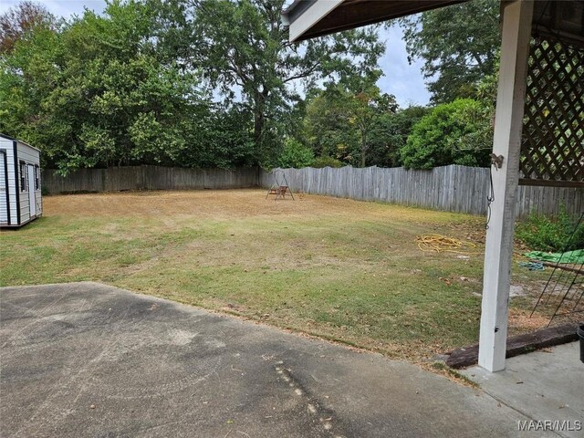 view of yard featuring a shed and a patio