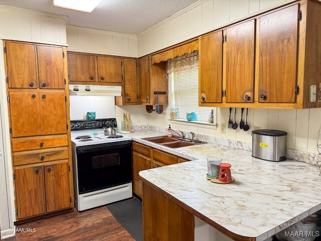 kitchen featuring dark wood-type flooring, white range with electric stovetop, kitchen peninsula, and sink