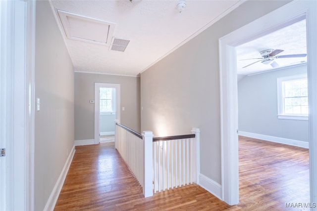 hallway featuring wood-type flooring and ornamental molding