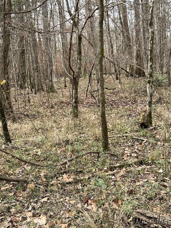 00 Coon Hop Rd, Hardaway, AL 36039 - photo 4