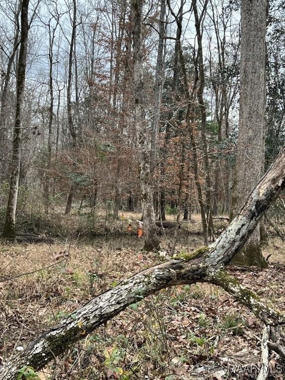 00 Coon Hop Rd, Hardaway, AL 36039 - photo 6
