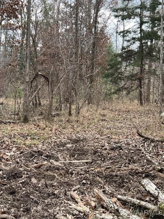 00 Coon Hop Rd, Hardaway, AL 36039 - photo 7