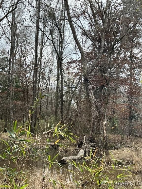 00 Coon Hop Rd, Hardaway, AL 36039 - photo 9
