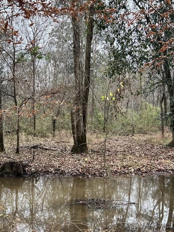 00 Coon Hop Rd, Hardaway, AL 36039 - photo 11