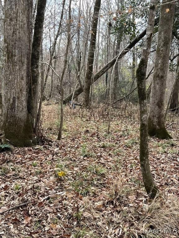 00 Coon Hop Rd, Hardaway, AL 36039 - photo 12