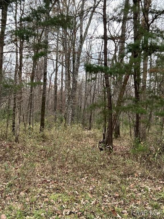00 Coon Hop Rd, Hardaway, AL 36039 - photo 13